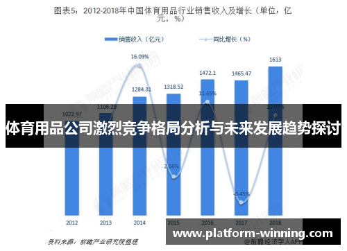 体育用品公司激烈竞争格局分析与未来发展趋势探讨