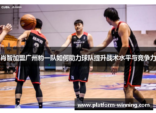 肖智加盟广州豹一队如何助力球队提升战术水平与竞争力