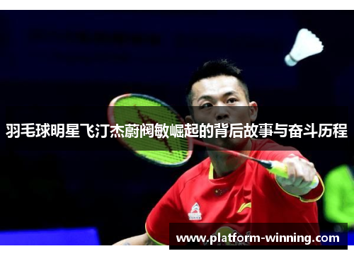 羽毛球明星飞汀杰蔚阀敏崛起的背后故事与奋斗历程
