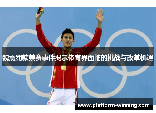 魏震罚款禁赛事件揭示体育界面临的挑战与改革机遇