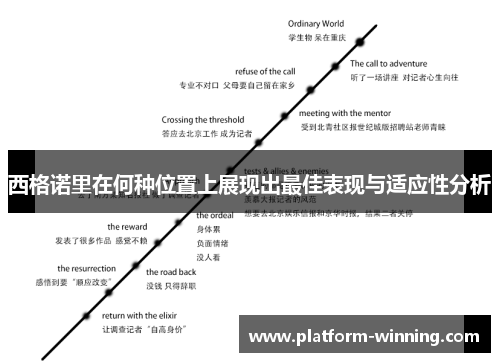 西格诺里在何种位置上展现出最佳表现与适应性分析